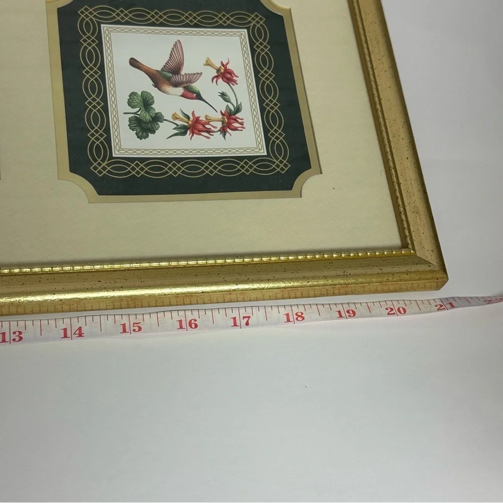 N/A hummingbirds ruby